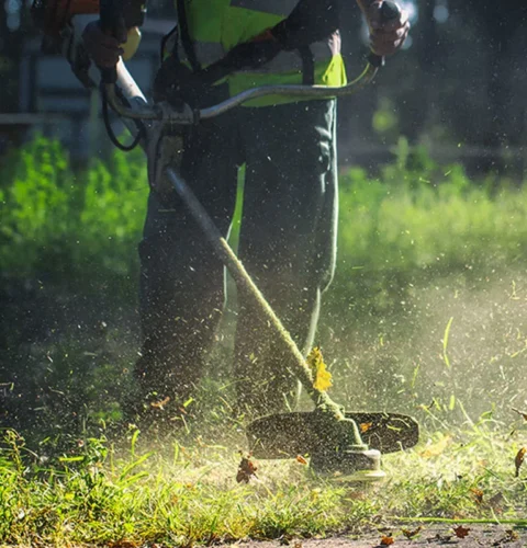 Read more about the article Πως να Καθαρίσετε τον Κήπο σας με Χορτοκοπτικό Βενζίνης