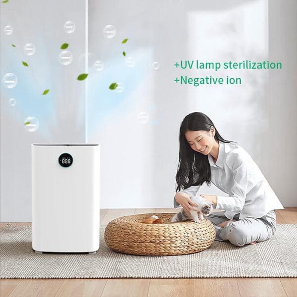 Καθαριστής Αέρα