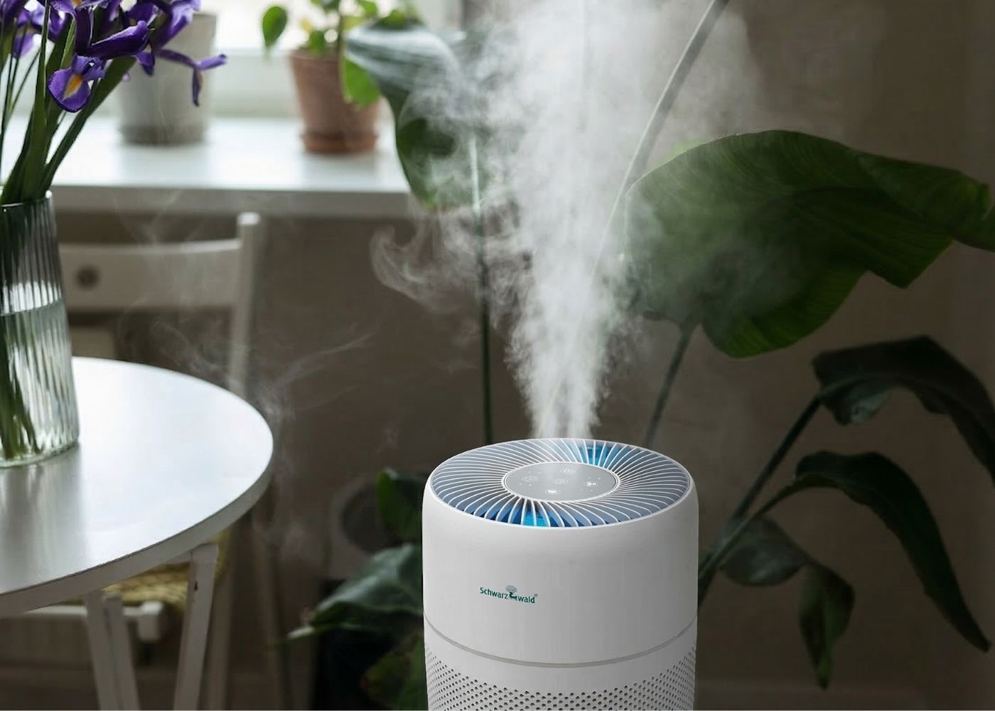 Μήπως Χρειάζεσαι Καθαριστή Αέρα;