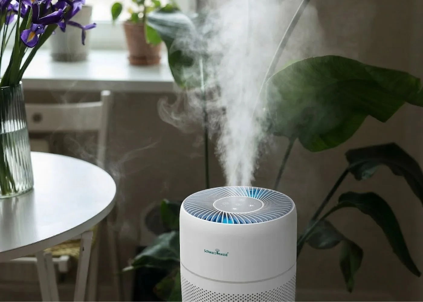 Μήπως Χρειάζεσαι Καθαριστή Αέρα; Μήπως Χρειάζεσαι Καθαριστή Αέρα;