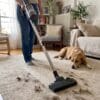 Η σκούπα CleanMaxx 2 σε 1 μαζεύει τρίχες σκύλου από χαλί, με τον σκύλο ξαπλωμένο δίπλα